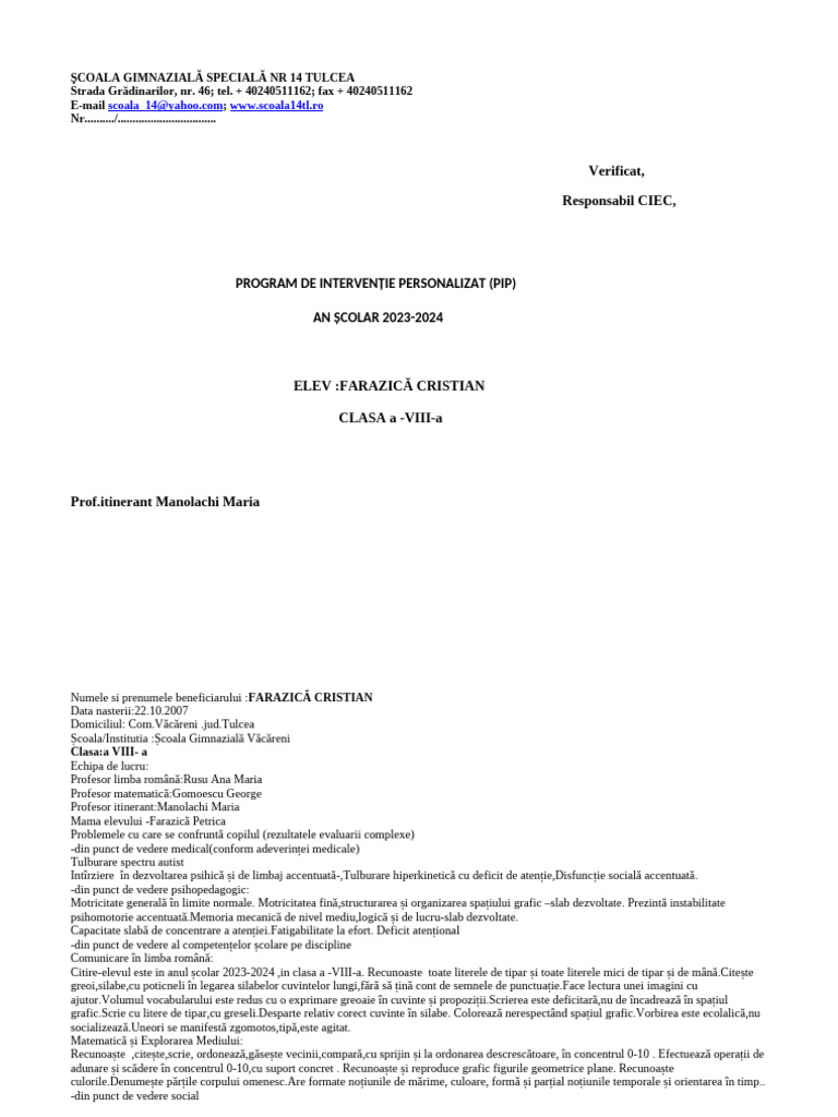 pip-farazica-2024-corect-docx-pdf