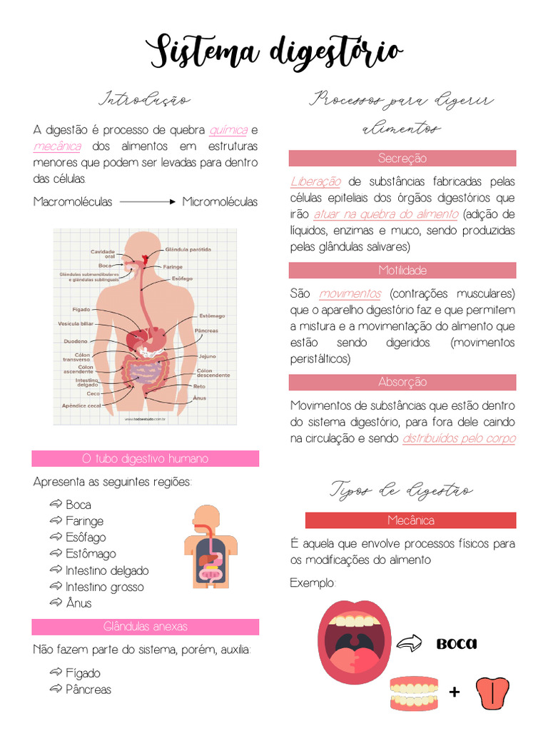 Sistema Digestório - Resumo | PDF