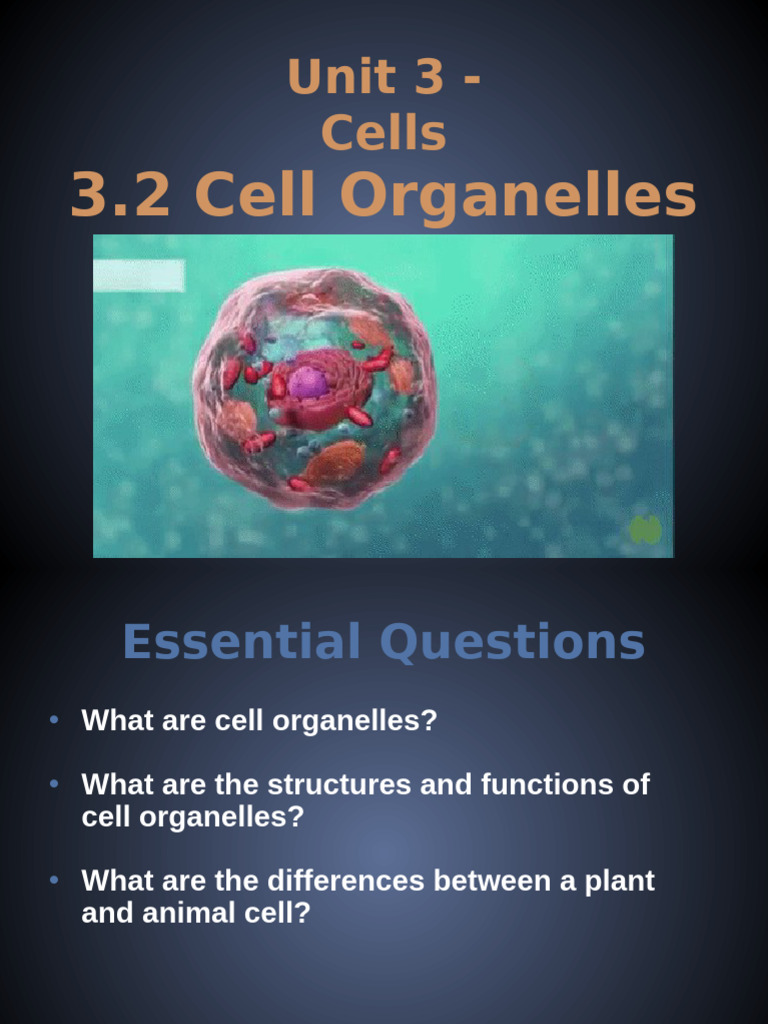 Cell (biology) visual data 8
