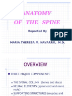 Power Point Anatomy of The Spine Edited