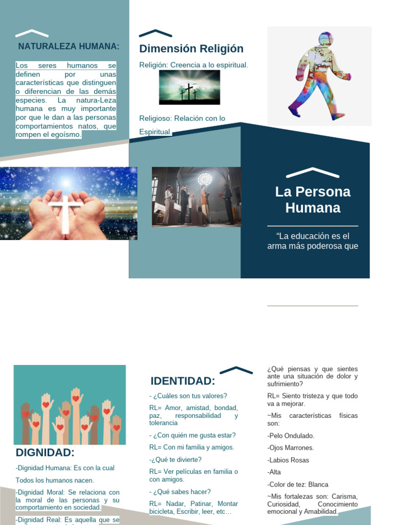Folleto Aylin Originall | PDF