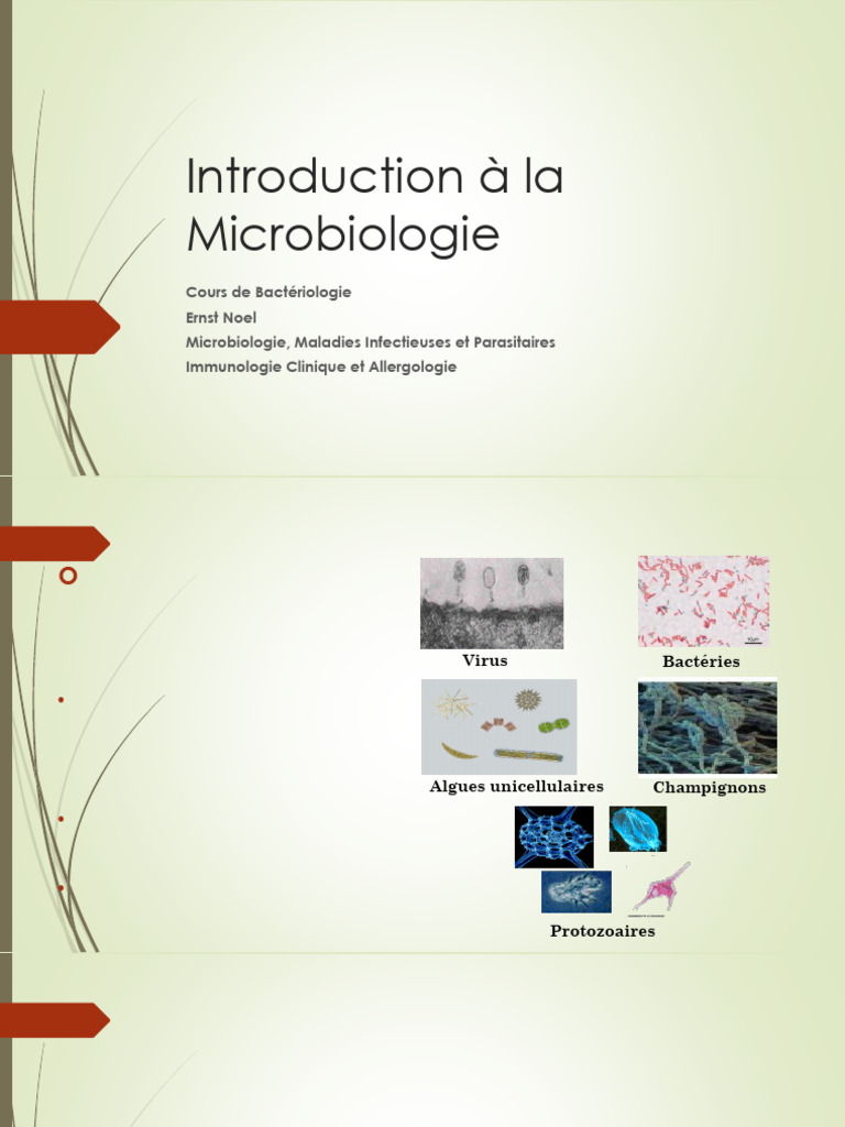 Introduction à la Microbiologie | PDF
