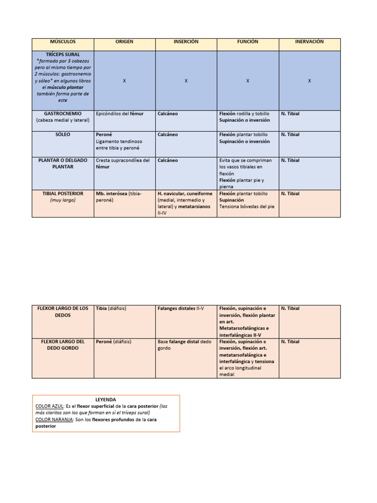 Esquema Tema 17 | PDF