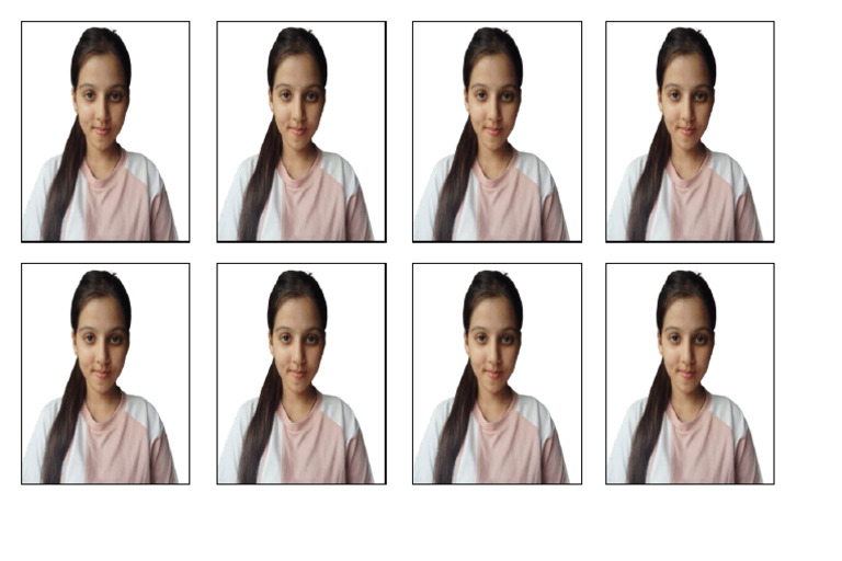 Passport Photo | PDF