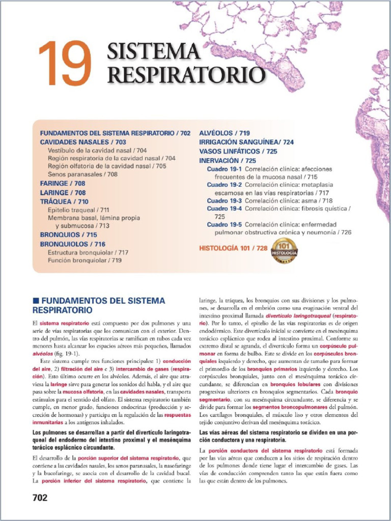 Ross Histologia Texto y Atlas 8e-Split | PDF