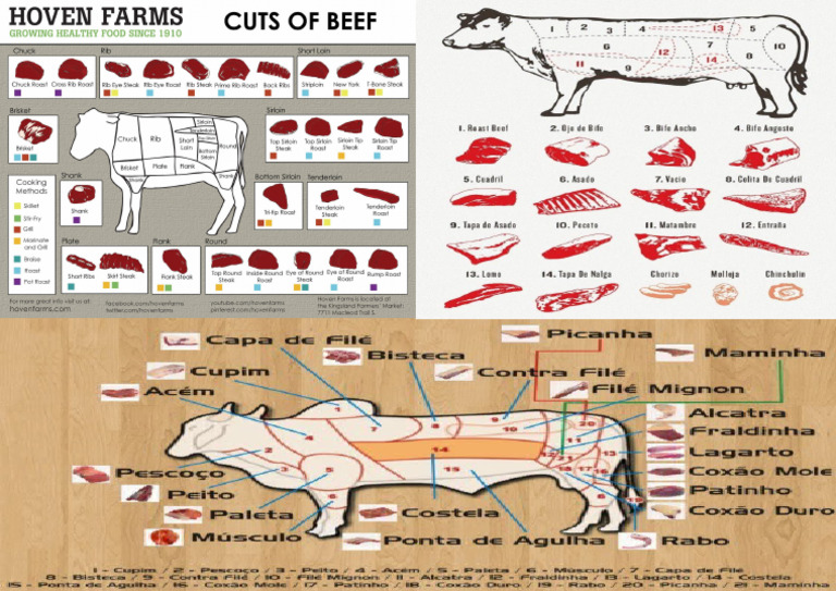 International Meat Cuts | PDF