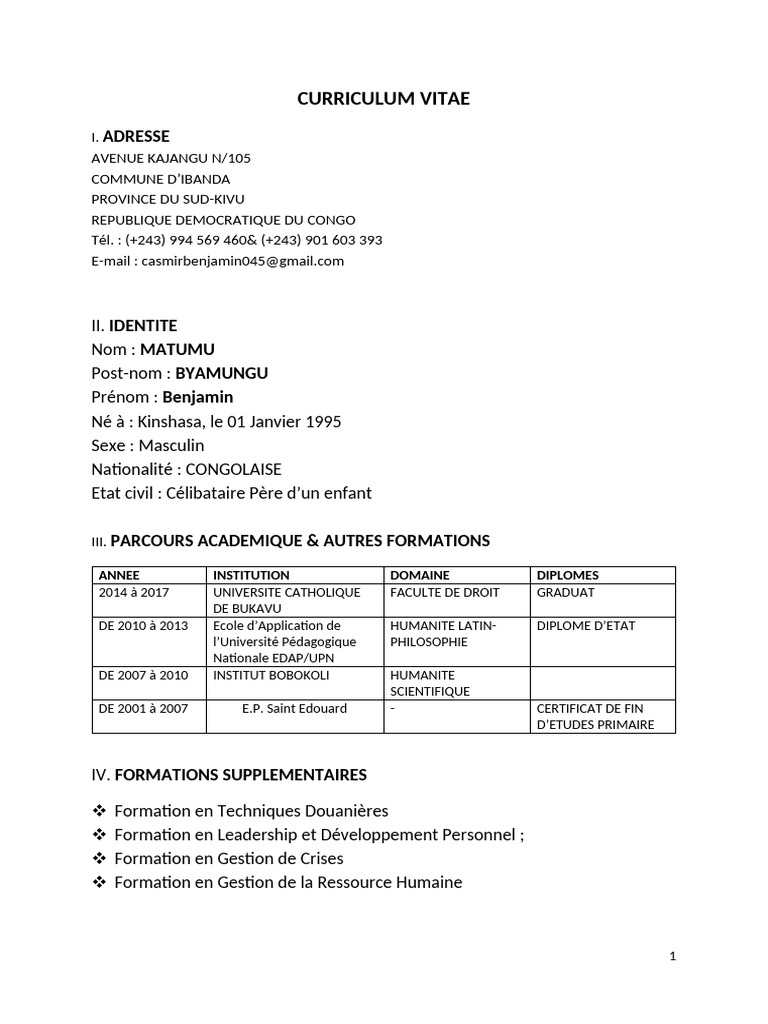 CURRICULUM VITAE CD-1 Ok | PDF