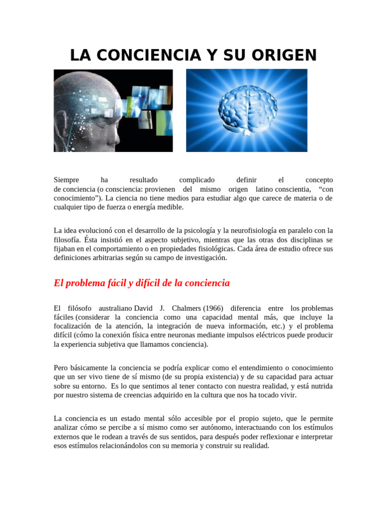Origen y Teorías de la Conciencia | PDF | Conciencia | Mente