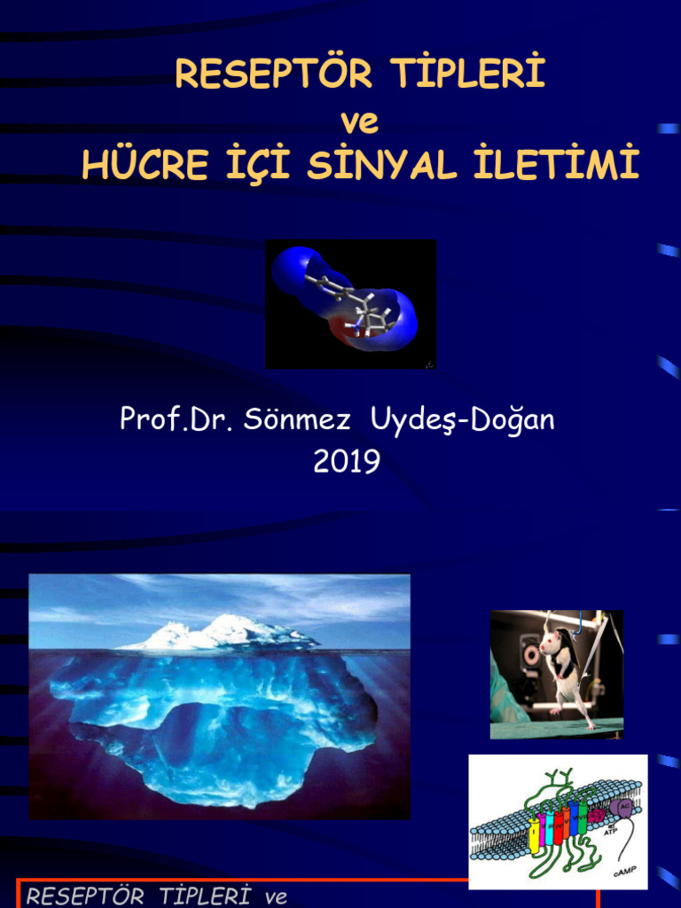 Reseptör Tipleri Ve Hücre İçi Sinyal Sistemi 11.11.2019-Ders Notu | PDF