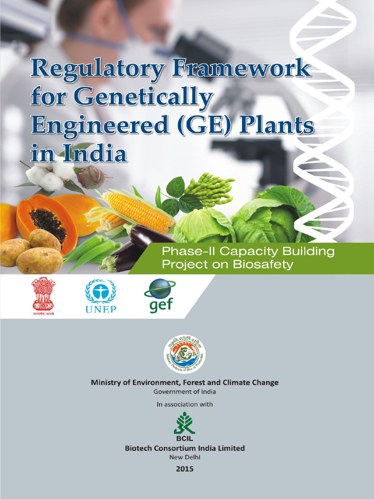 Regulatory Framework Pdf