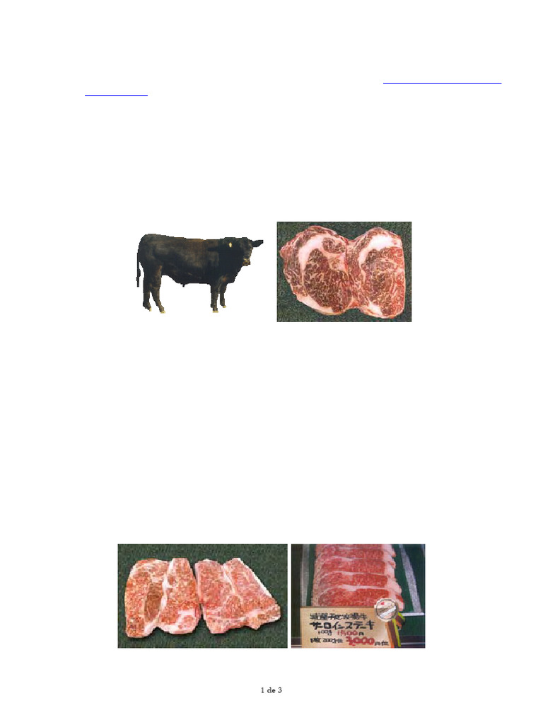 58 Wagyu | PDF