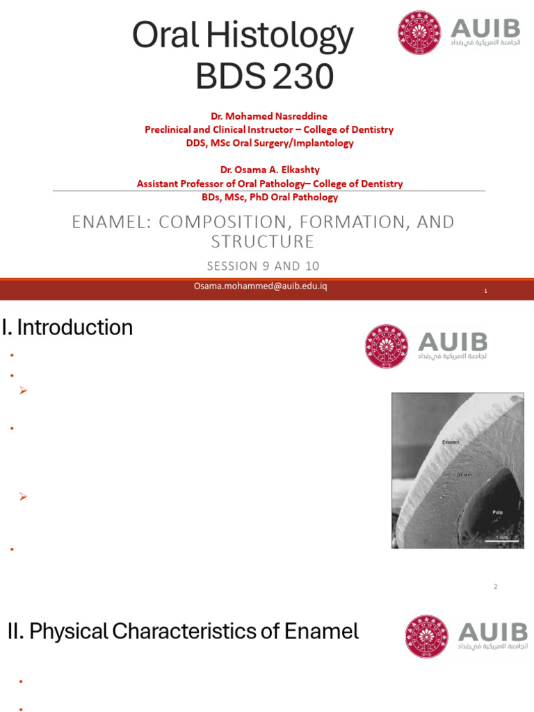 Bds+230 +session+9+and+10+ +Enamel+Composition,+Formation,+and ...