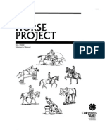 45965629 4H Horse Project