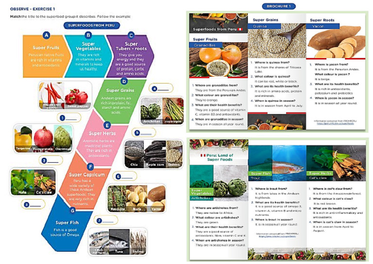 Food Group | PDF