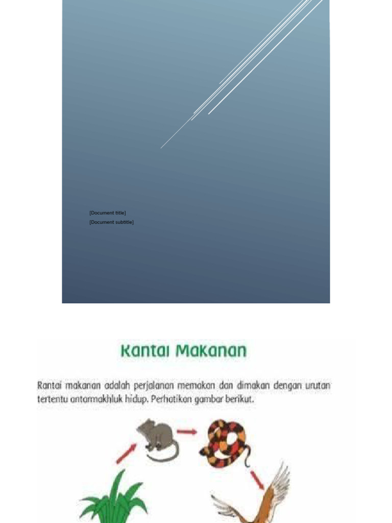 Rantai makanan power point pdf
