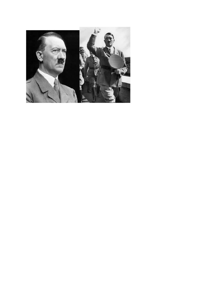 ADOLF HITLER PDF visual data 3