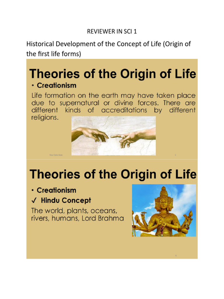 SCI1 Reviewer | PDF