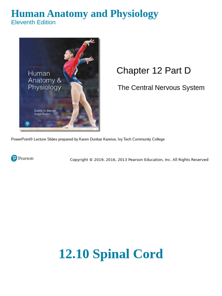 Biology+2401+Ch 12+Part+D | PDF