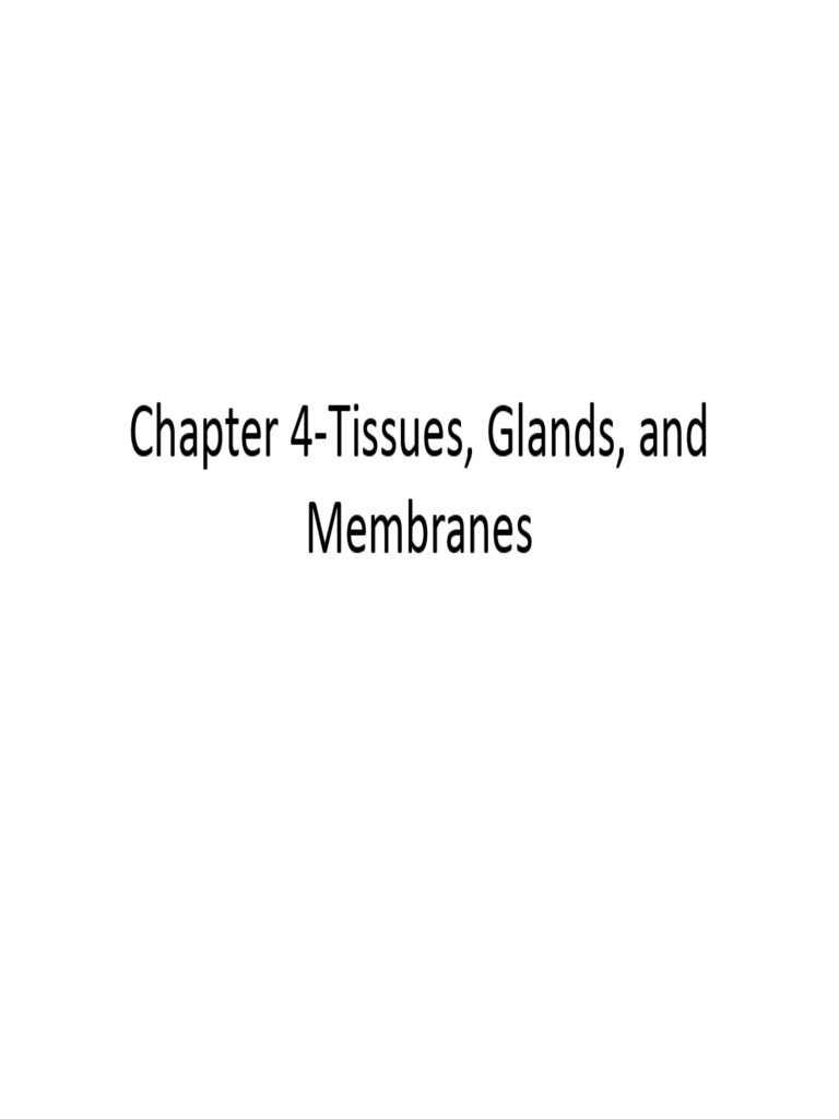 Chapter 4-Tissues Glands and Membranes Web2 | PDF