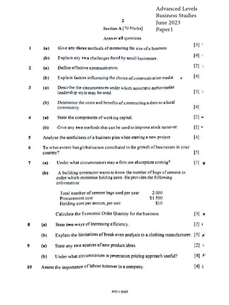 A levels business studies 2023 pdf