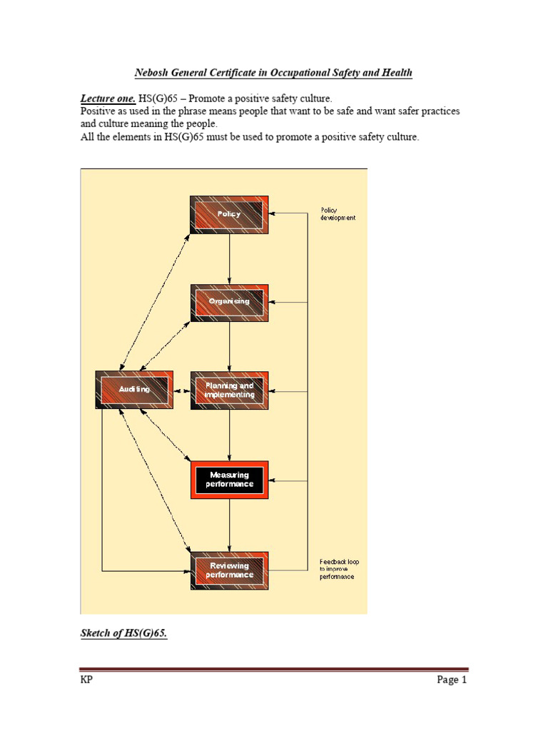 NEBOSH Hand Made Notes | PDF
