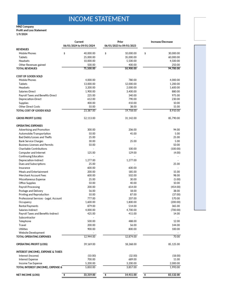 MNZ Company Profit and Loss Overview | PDF | Income Statement | Expense