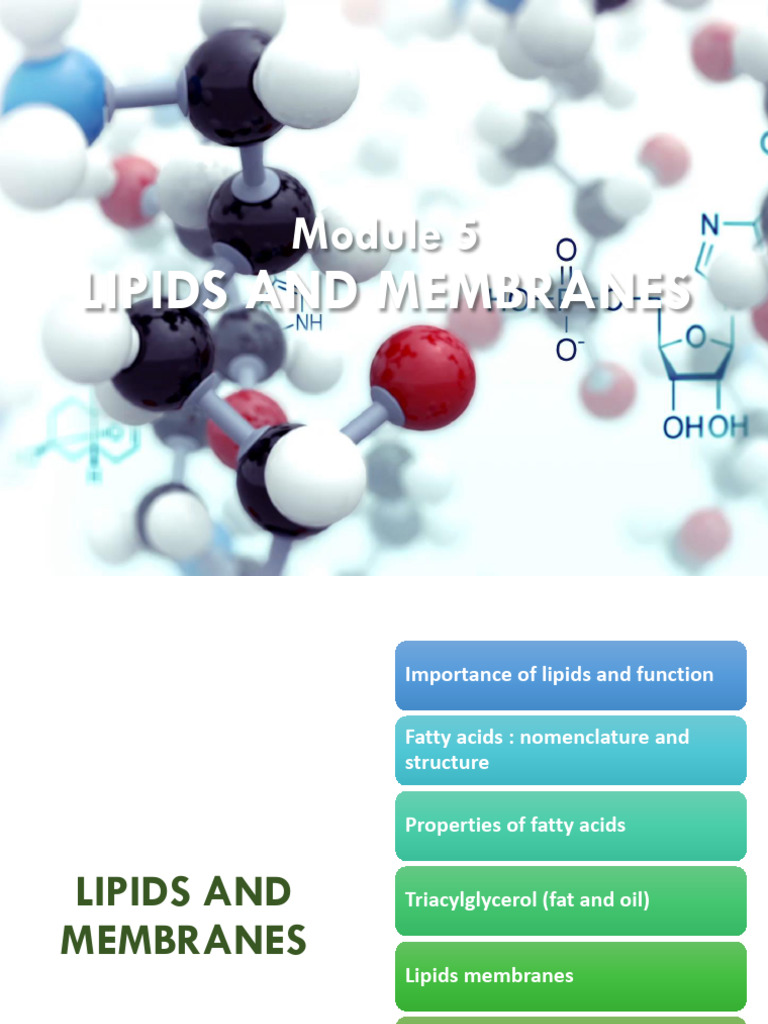 Module 5 - Lipids and Membrane Chemistry | PDF