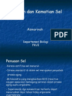 Penuaan Dan Kematian Sel