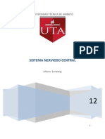Sistema Nervioso Central