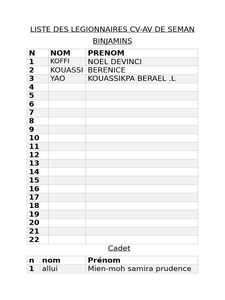Cv-Av Liste | PDF