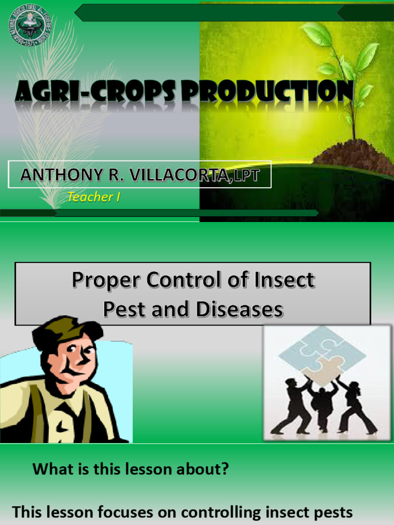 Insect Pest Control in Vegetable Crops | PDF | Insects | Pest (Organism)