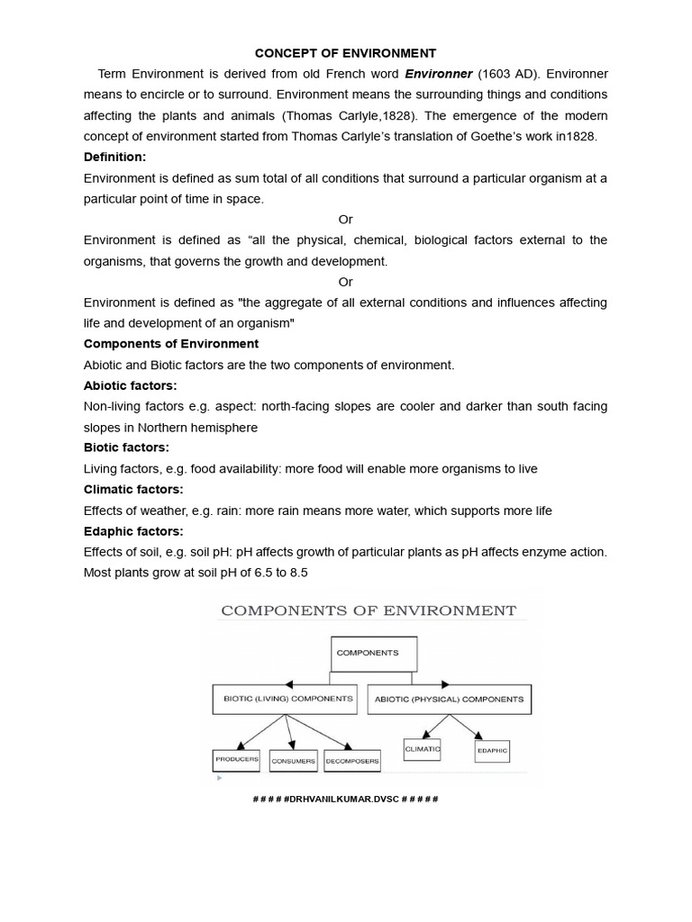 Components of Environment | PDF