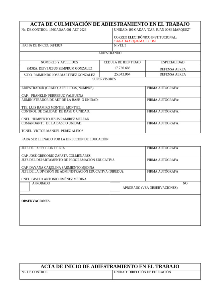 Acta De Inicio Nivel 3 Pdf