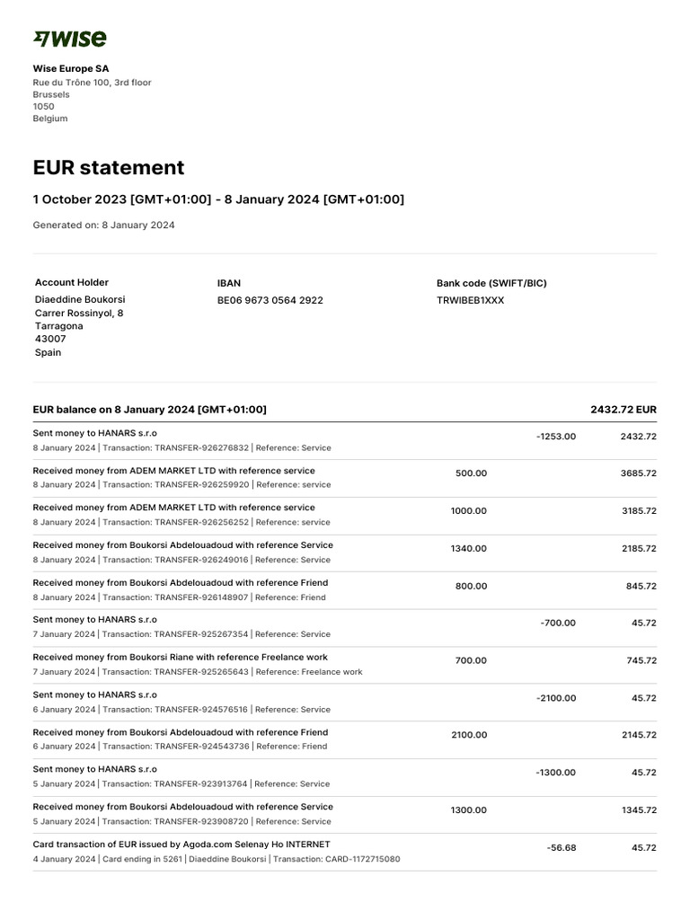 Balance Statement | PDF