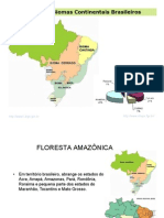 11_Biomas_brasileiros[1]