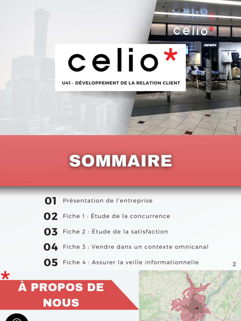 U41 - Développement de La Relation Client | PDF