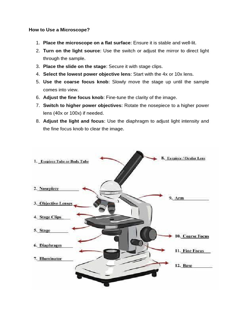 How To Use A Microscope | PDF