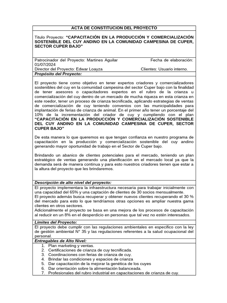 Acta de Constitucion Del Proyecto | PDF | Presupuesto | Marketing