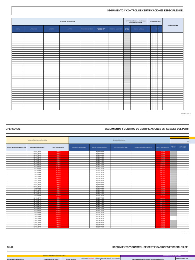 Matriz de Certificaciones Especiales | PDF