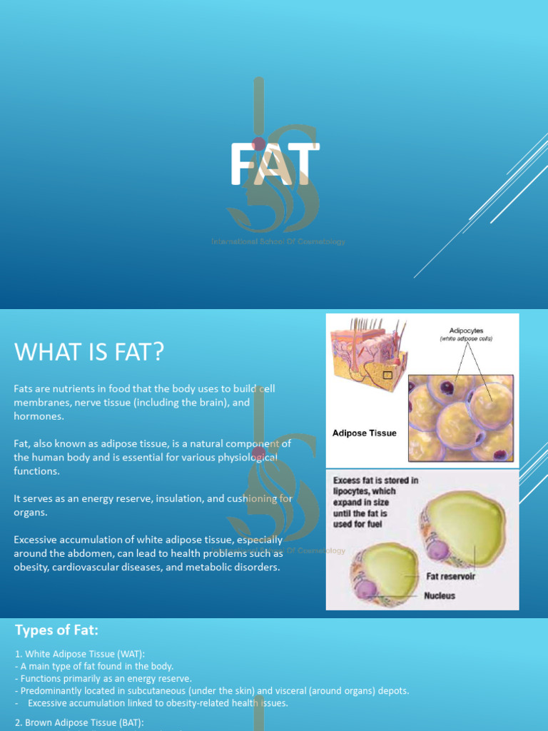 Fat (2) . | PDF
