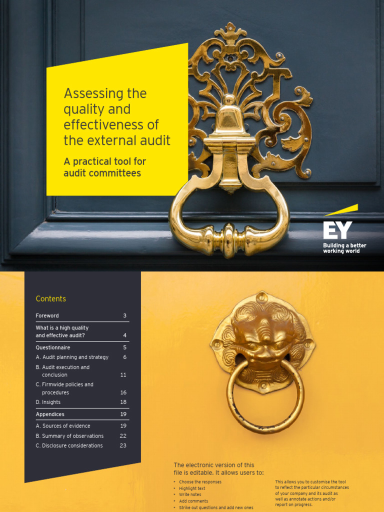 Enhancing EY Audit Quality Toolkit | PDF | Audit | Business