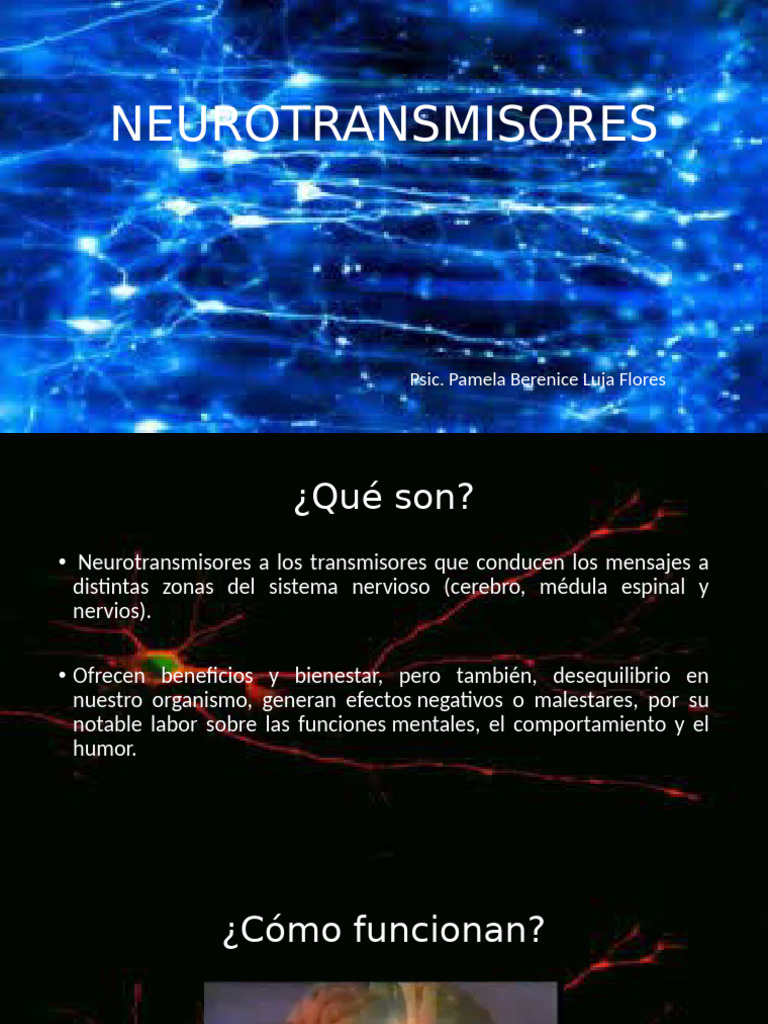 Neuro Transm I Sores | PDF