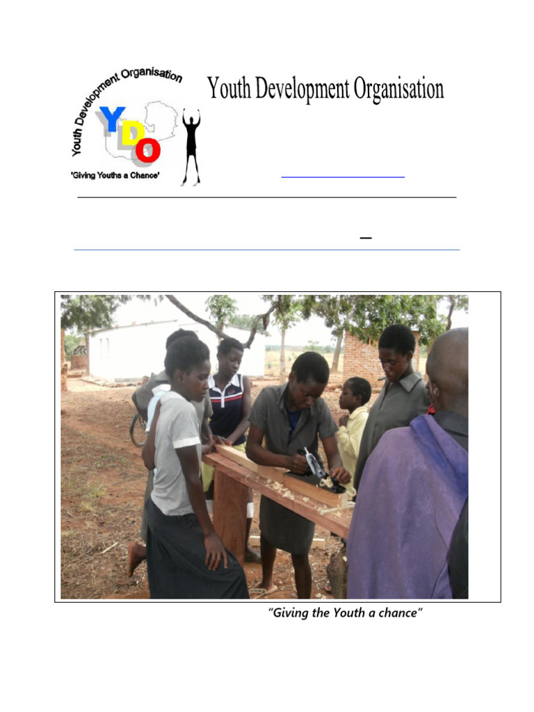YDO Strategic Plan Very Final | PDF