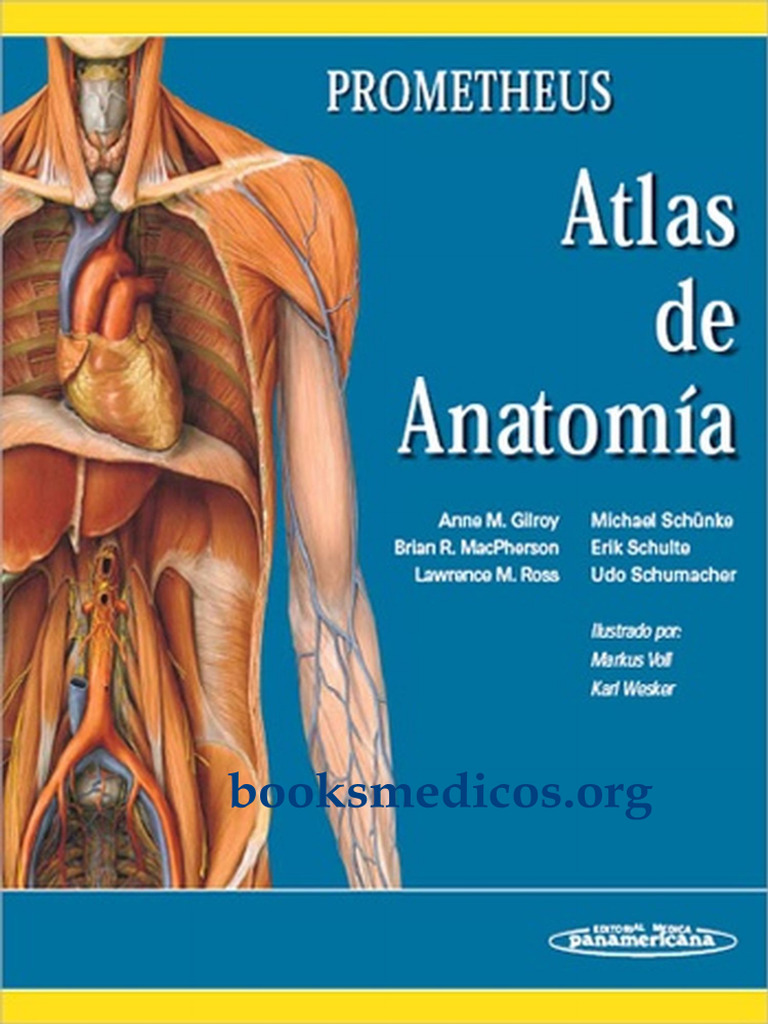 PROMETHEUS Atlas of Anatomy 第4版 プロメテウス解剖学 コア アトラス 第4版 / Anatomy 今日も明日も