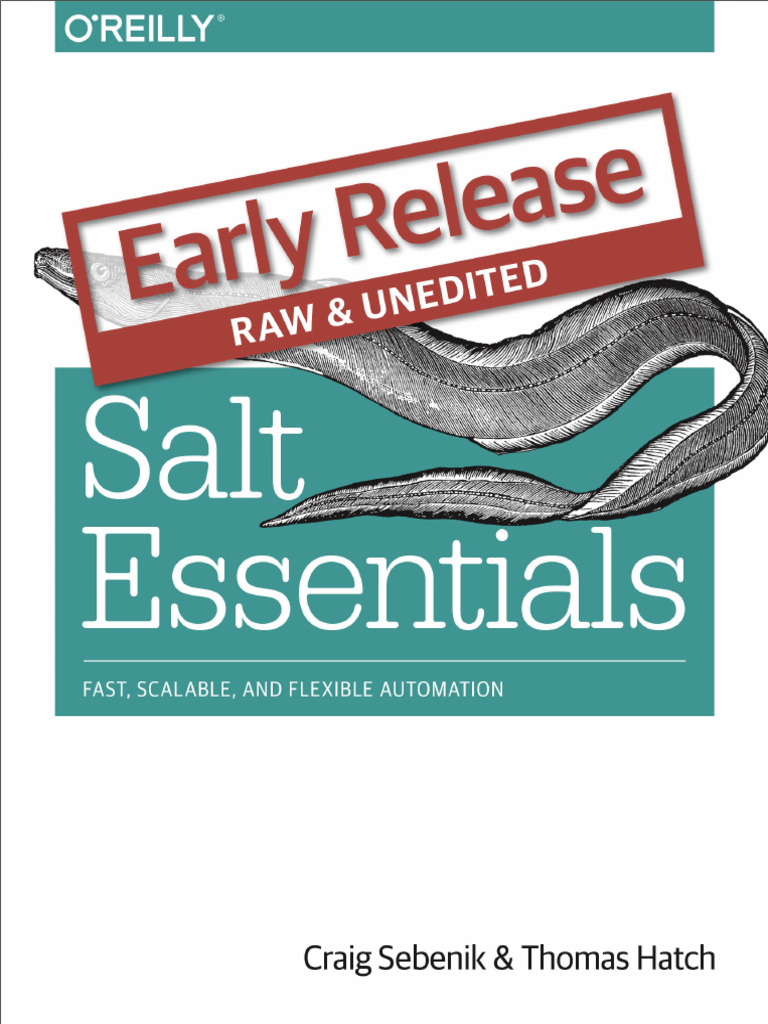 Salt Essentials | PDF