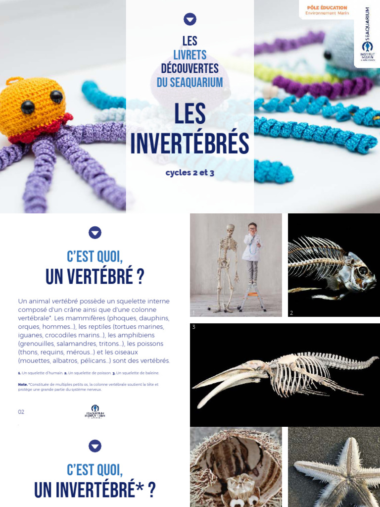Zoologie Invertébrés | PDF | Bivalvia | Squelette