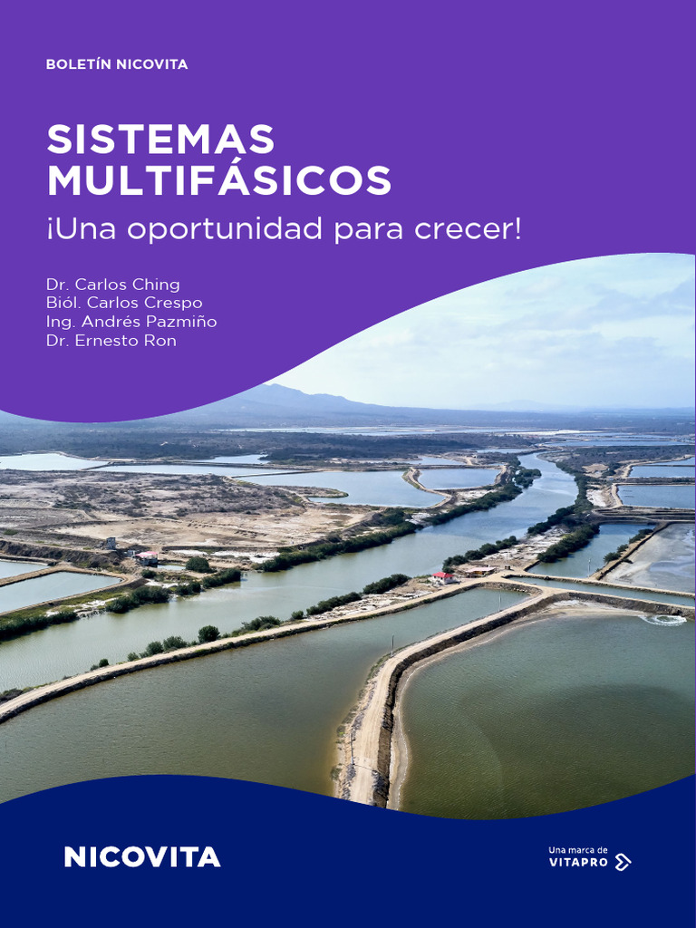 3.sistemas Múltifasicos | PDF