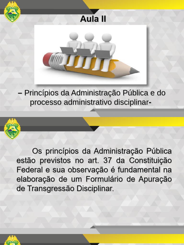 Princípios da Administração Pública | PDF
