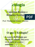 Ecologia Relacoes+Ecologicas Ciclos(1)
