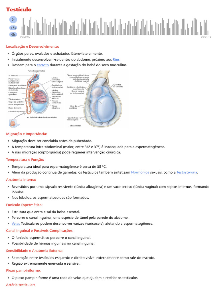 Testículo | PDF